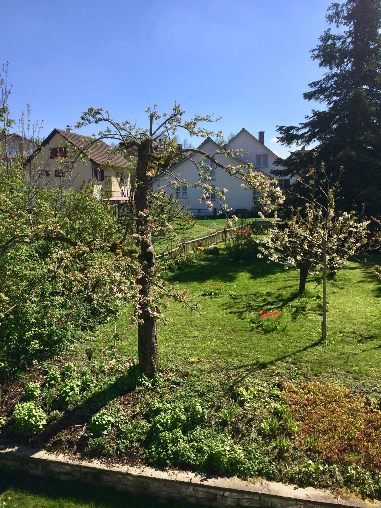 Guntli'S Family Guesthouse Andelfingen Exterior foto